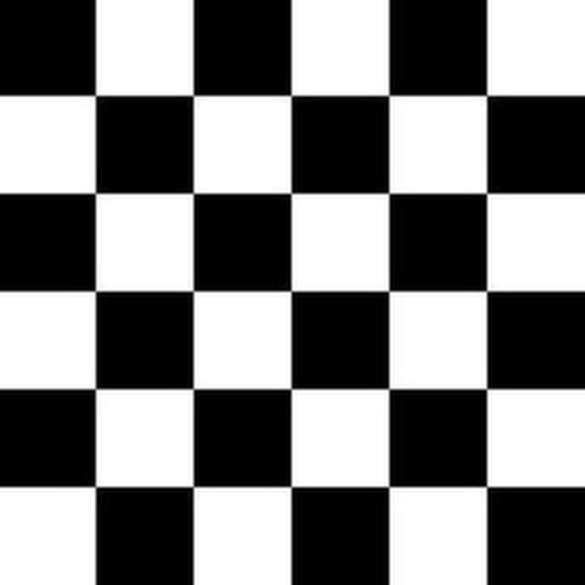 Checkered Bag, Wet Dry Bag, Period Bag - The Creative Raccoon