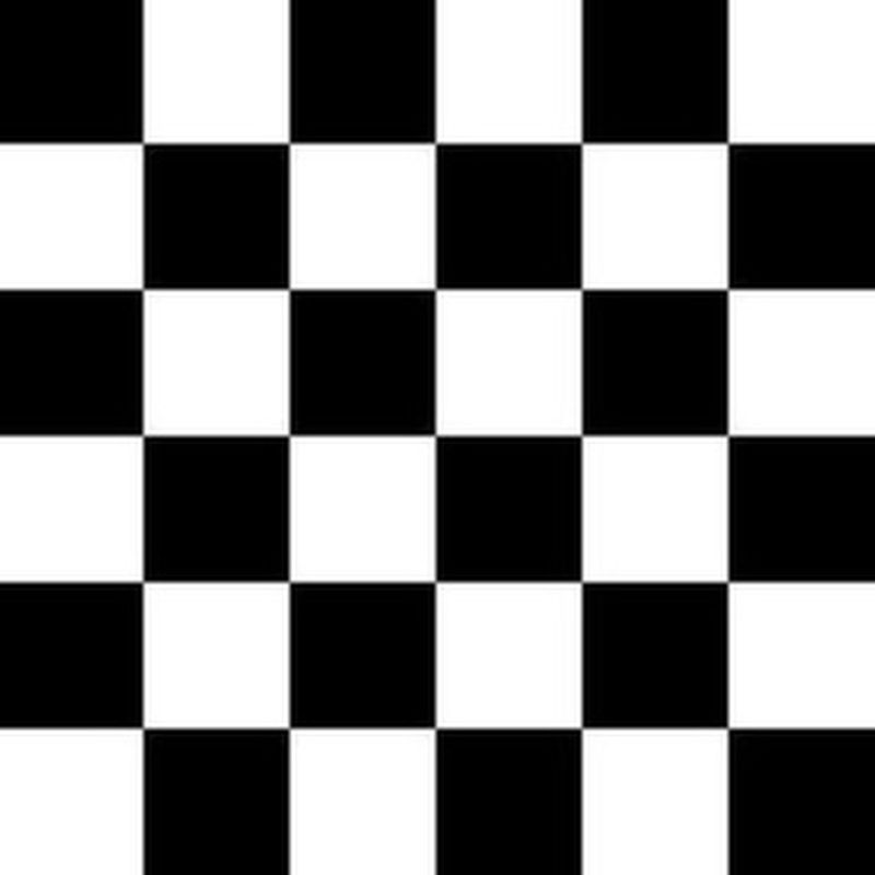 Black & White Checkered Racing Flag - The Creative Raccoon