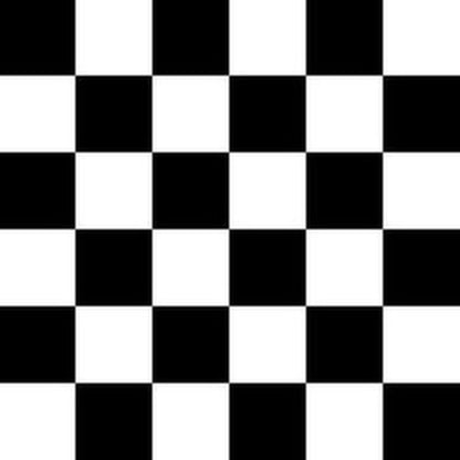 Black & White Checkered Racing Flag - The Creative Raccoon