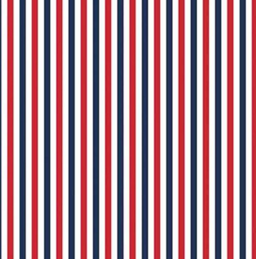 Striped Fabric, Patriotic Fabric, Riley Blake Designs - The Creative Raccoon