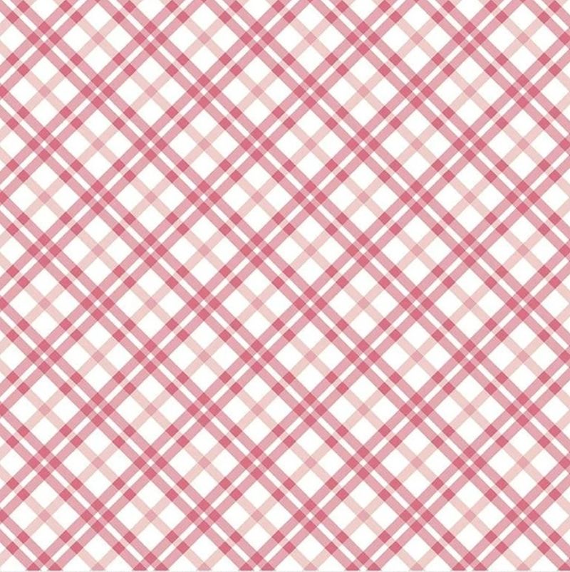 Pink and white plaid pattern
Valentines Wet Dry Bag, Period - The Creative Raccoon